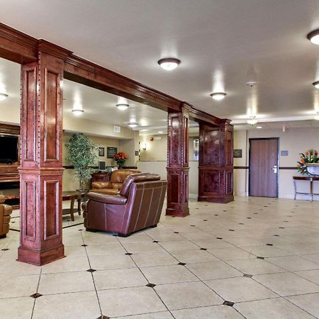 Comfort Inn Jackson Bagian luar foto